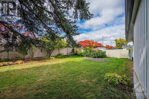 61 Birchview Road, Meadowlands - Crestview And Area (7301 - Meadowlands/St. Claire Gardens), ON - Outdoor With Backyard