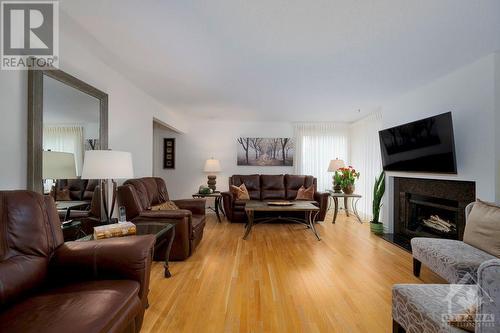 61 Birchview Road, Meadowlands - Crestview And Area (7301 - Meadowlands/St. Claire Gardens), ON - Indoor Photo Showing Living Room With Fireplace