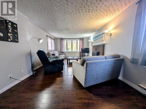 22 Rosedale Street, Corner Brook, NL - Indoor Photo Showing Living Room With Fireplace