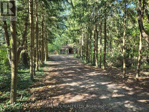 8241 Gardner Trail, Brooke-Alvinston (Brooke Alvinston), ON - Outdoor With View