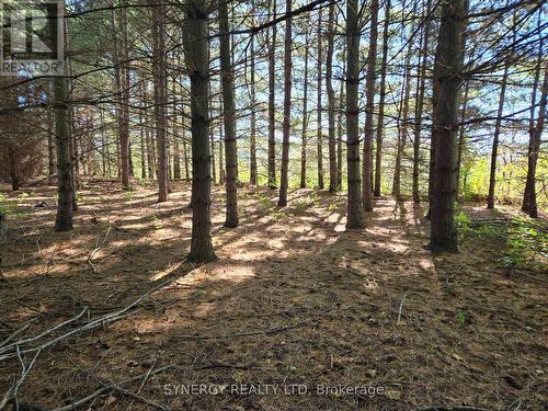 8241 Gardner Trail, Brooke-Alvinston (Brooke Alvinston), ON - Outdoor With View