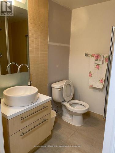 202 - 21 Carlton Street, Toronto, ON - Indoor Photo Showing Bathroom