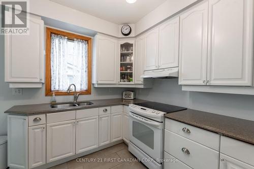 85 Elmwood Avenue E, London, ON - Indoor Photo Showing Kitchen With Double Sink