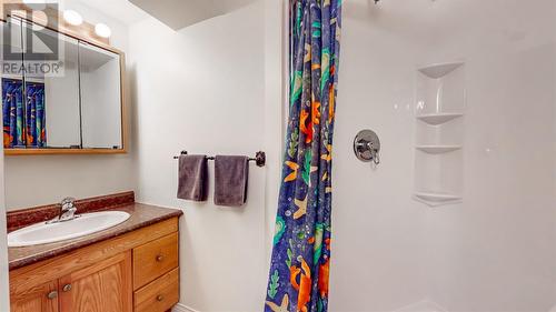 25 Hawker Crescent, St. John'S, NL - Indoor Photo Showing Bathroom