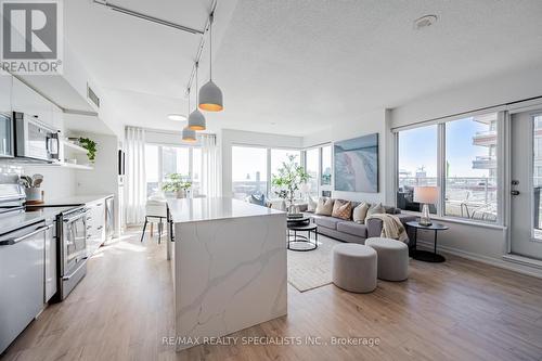 505 - 59 East Liberty Street, Toronto, ON - Indoor Photo Showing Kitchen With Upgraded Kitchen