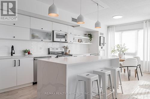 505 - 59 East Liberty Street, Toronto, ON - Indoor Photo Showing Kitchen With Upgraded Kitchen