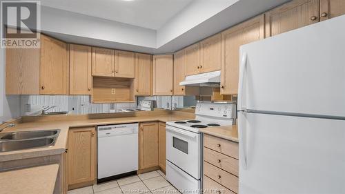 1995 Normandy Street Unit# 306, Lasalle, ON - Indoor Photo Showing Kitchen With Double Sink