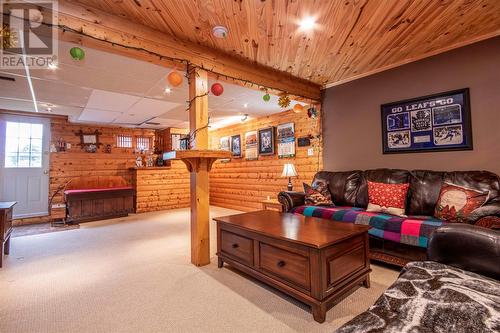 2 Hayes Avenue, Paradise, NL - Indoor Photo Showing Living Room