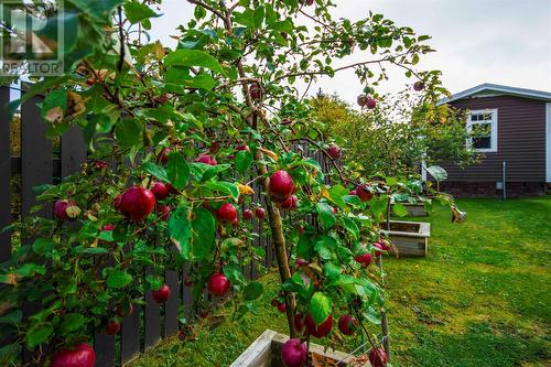 2 Hayes Avenue, Paradise, NL - Outdoor