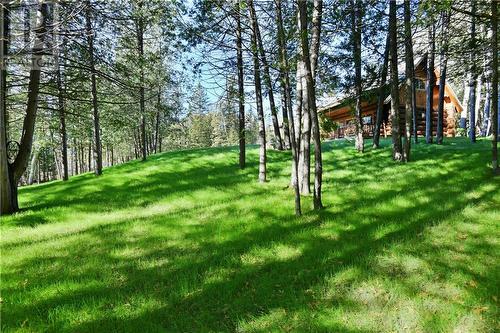 8 Tanager Trail, Westmeath, ON - Outdoor