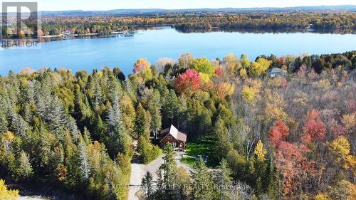 8 Tanager Trail, Whitewater Region, ON - Outdoor With Body Of Water With View