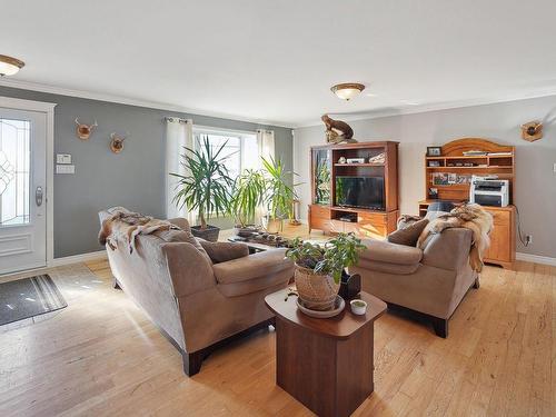 Salon - 447 Rue Notre-Dame, Saint-Sulpice, QC - Indoor Photo Showing Living Room