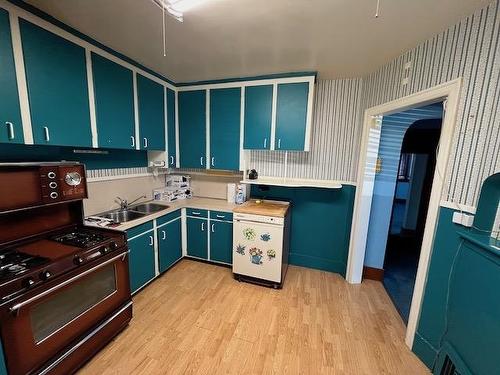 234 Prospect Avenue, Thunder Bay, ON - Indoor Photo Showing Kitchen With Double Sink