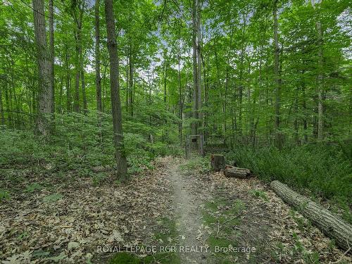 11 Hidden Forest Dr, Whitchurch-Stouffville, ON - Outdoor