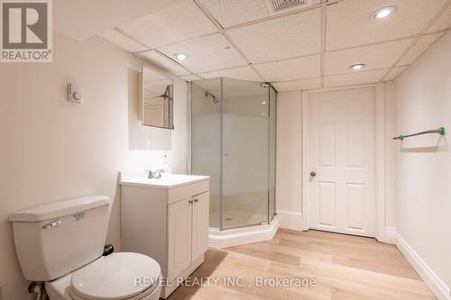 254 Darling Street, Brantford, ON - Indoor Photo Showing Bathroom