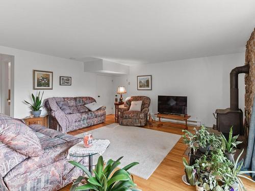 Salon - 8 Rue Des Ardoises, Sainte-Agathe-Des-Monts, QC - Indoor Photo Showing Living Room