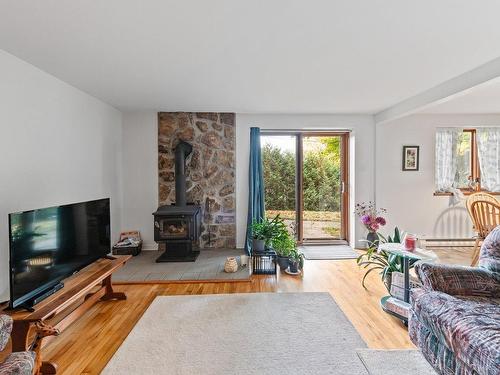 Salon - 8 Rue Des Ardoises, Sainte-Agathe-Des-Monts, QC - Indoor Photo Showing Living Room With Fireplace