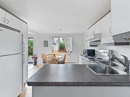 Cuisine - 8 Rue Des Ardoises, Sainte-Agathe-Des-Monts, QC - Indoor Photo Showing Kitchen With Double Sink