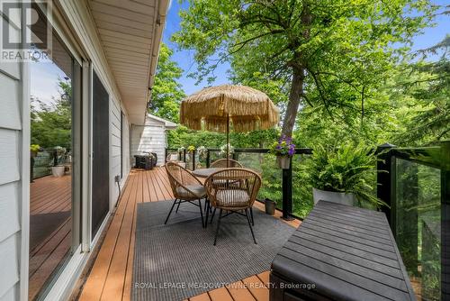 27 Tweedle Street, Halton Hills, ON - Outdoor With Deck Patio Veranda With Exterior