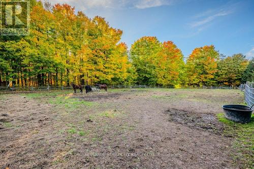 5822 2Nd Line, Erin, ON - Outdoor