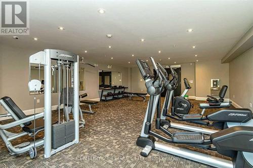 604 - 610 Farmstead Drive, Milton, ON - Indoor Photo Showing Gym Room