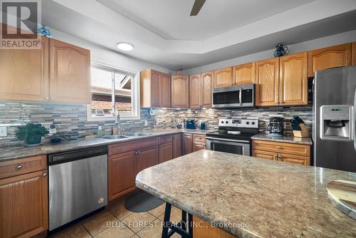 534 Sales Drive, Woodstock, ON - Indoor Photo Showing Kitchen With Double Sink With Upgraded Kitchen