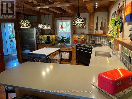 1183 Roger Place, Smith-Ennismore-Lakefield, ON - Indoor Photo Showing Kitchen