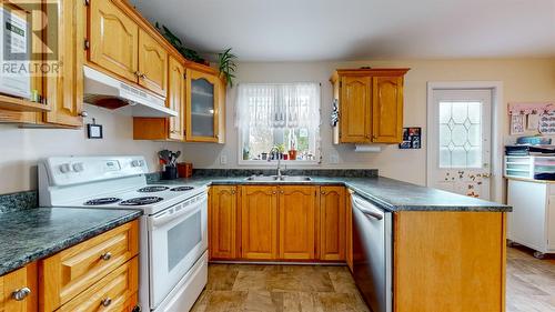 10 Richwood Crescent, Conception Bay South, NL - Indoor Photo Showing Kitchen With Double Sink