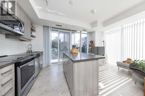 508 - 50 Wellesley Street E, Toronto, ON - Indoor Photo Showing Kitchen With Upgraded Kitchen