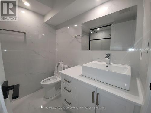 2Nd Fl - 248 Gladstone Avenue, Toronto, ON - Indoor Photo Showing Bathroom