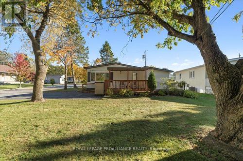 41 Linden Boulevard, Quinte West, ON - Outdoor