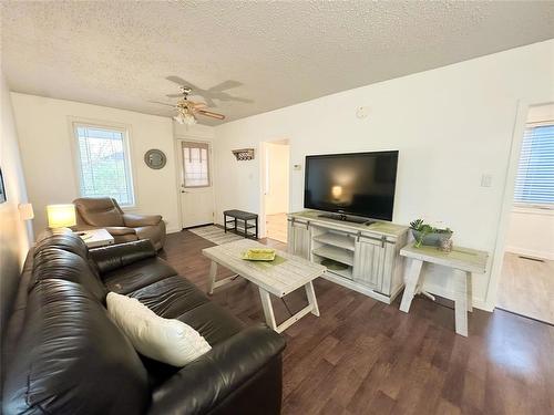 238 Gordon Avenue, Winnipeg, MB - Indoor Photo Showing Living Room