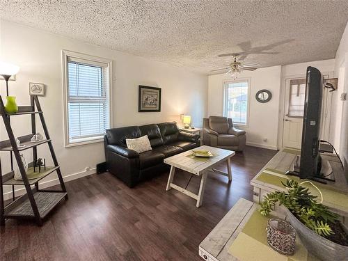 238 Gordon Avenue, Winnipeg, MB - Indoor Photo Showing Living Room