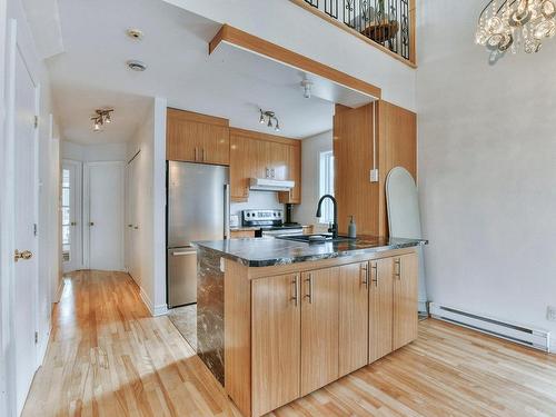 Cuisine - 302-222 Rue Larivière, Laval (Sainte-Dorothée), QC - Indoor Photo Showing Kitchen