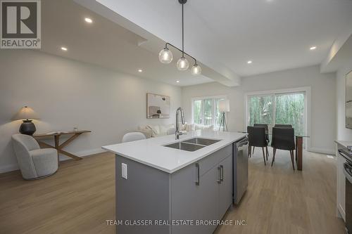 Lot#8 - 1523 Chickadee Trail, London, ON - Indoor Photo Showing Kitchen With Double Sink