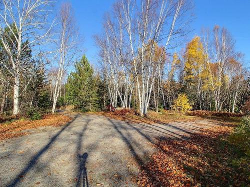 Exterior entrance - 211 Ch. De La Baie-Du-Repos, Senneterre - Paroisse, QC - Outdoor With View