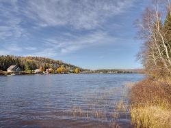 Bord de l'eau - 