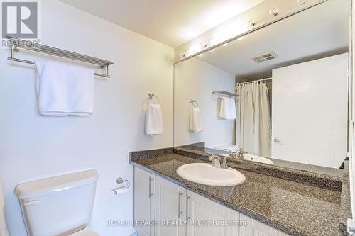 1210 - 350 Webb Drive, Mississauga, ON - Indoor Photo Showing Bathroom