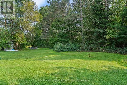 4141 County Rd 121, Kawartha Lakes (Kinmount), ON 