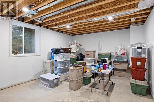 59 Red Oak Crescent, Amherstburg, ON - Indoor Photo Showing Basement