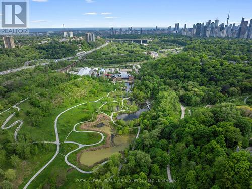 124 Roxborough Drive, Toronto (Rosedale-Moore Park), ON - Outdoor With View