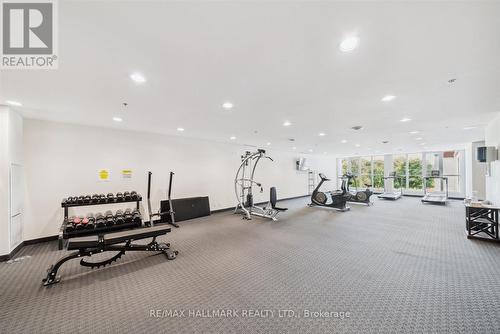 527 - 22 East Haven Drive, Toronto (Birchcliffe-Cliffside), ON - Indoor Photo Showing Gym Room