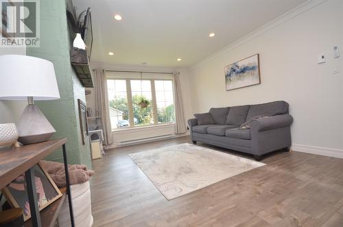 37 Hands Road, Cbs, NL - Indoor Photo Showing Living Room