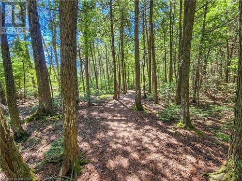 West Little Lake Boardwalk Trail - Lot 13 Trillium Crossing, Northern Bruce Peninsula, ON 