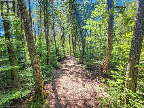 West Little Lake Boardwalk Trail - Lot 13 Trillium Crossing, Northern Bruce Peninsula, ON 