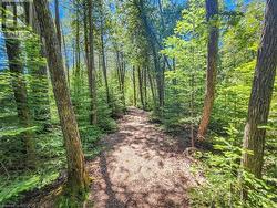 West Little Lake Boardwalk Trail - 