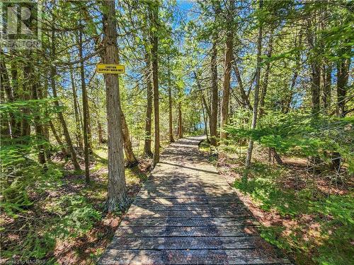 West Little Lake Boardwalk Trail - Lot 13 Trillium Crossing, Northern Bruce Peninsula, ON 