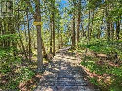 West Little Lake Boardwalk Trail - 