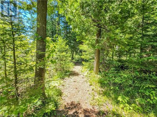 West Little Lake Boardwalk Trail - Lot 13 Trillium Crossing, Northern Bruce Peninsula, ON 