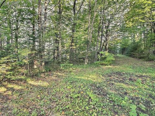 Land/Lot - 725 Ch. Maurais, Coaticook, QC 